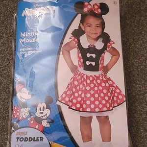 Minnie Mouse Costume